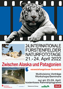 Plakat der 24. Internationalen Naturfototage mit weißem Tiger und Daten zur Veranstaltung
