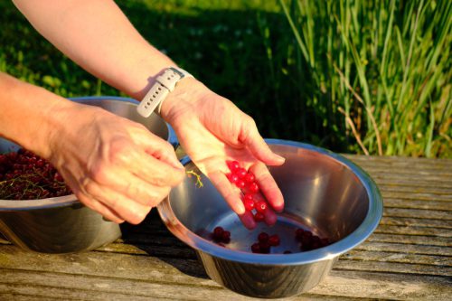 Johannesbeeren