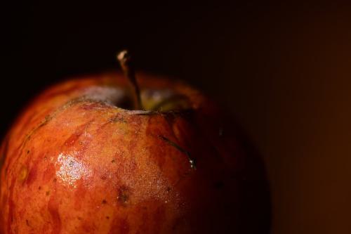 Makroaufnahme eines Apfels