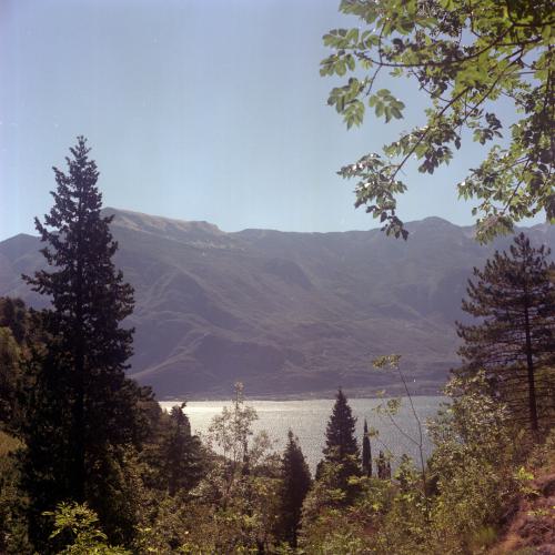 Ein Naturbild mit Bäumen, See und im Hintergrund Berge.
