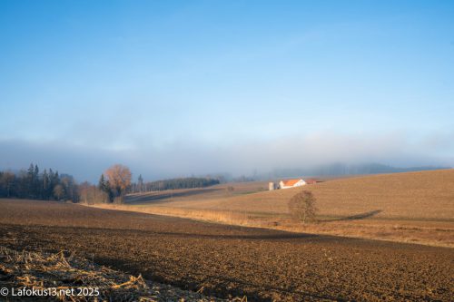 Felder und in der Ferne ein Bauernhof 