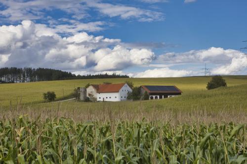 Ein Bauernhof mitten in der Landschaft.