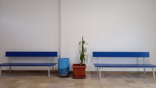 Zwei blaue Sitzbänke, in der Mitte eine Pflanze und ein Abfalleimer.  
