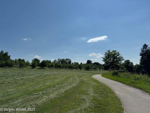 Wiese und Fahrradwef