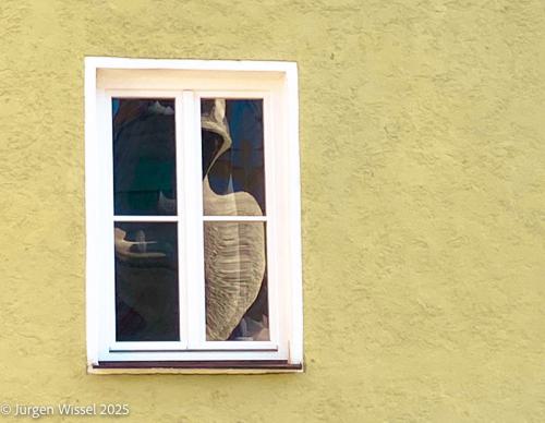 ein reflektiertes Fenster