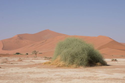 ML Namibia Der-Zauber-der-Wueste-10