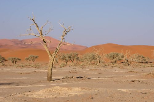 ML Namibia Der-Zauber-der-Wueste-3