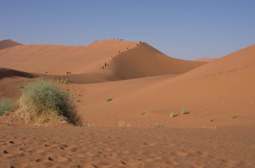 ML Namibia Der-Zauber-der-Wueste-4