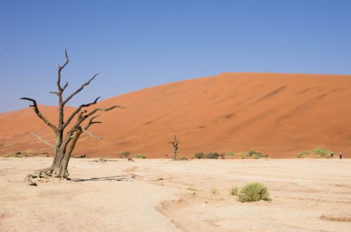 ML Namibia Der-Zauber-der-Wueste-6