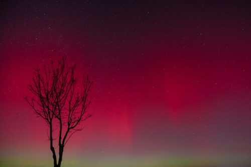 Himmelleuchten in rot