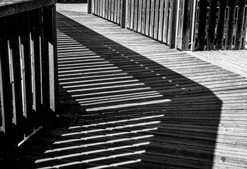 WW 001 Folge-der-Linie Laufrichtung (1)