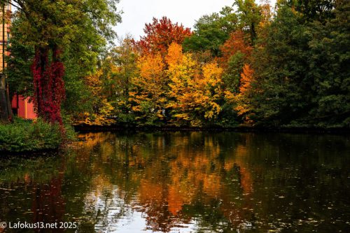 Herbst Am Wasserschlossgraben