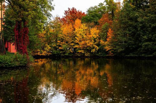 WW 001 Herbst Am-Wasserschlossgraben (1) (1)