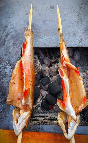 WW 004 Prozess-in-5-Bildern Fische-auf-dem-Grill