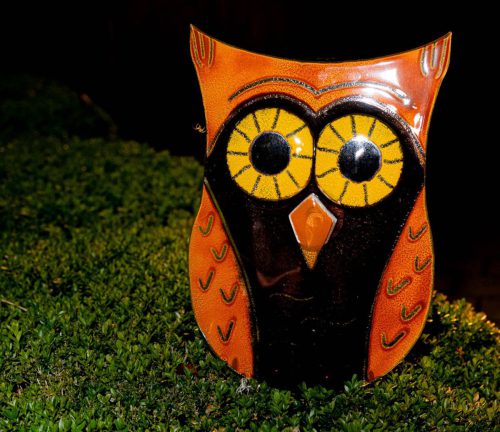 WW 006 Fotografieren-mit-Blitz Garteneule