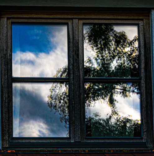 WW 009 Irgendwo-Durchgeschaut Baum-im-Fenster