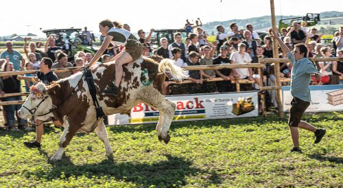 WW Events Ochsenrennen