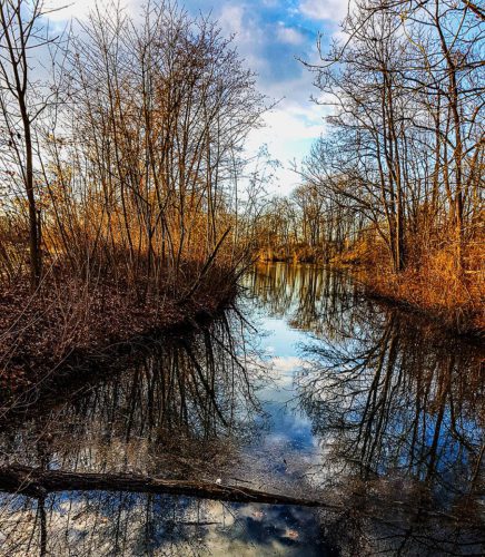 WW Herbstliche-Reflexion-am-Altwasser