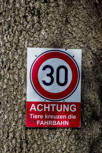 Ein Warnschild mit 30 Stundenkilometer. 