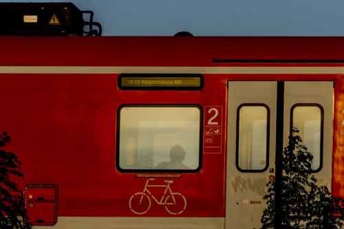eine Tür und ein Fenster von einer roten S-Bahn.