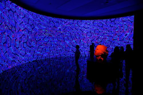 Kunstforum im Museum