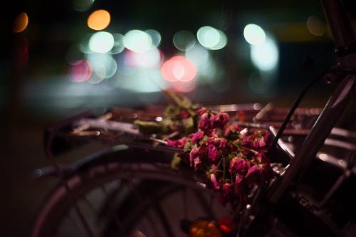 Rosen auf Fahrradträger mit unscharfem Hintergrund
